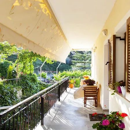 Apartment Tasoula &